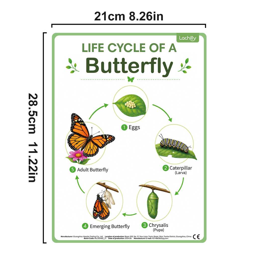 8Pcs Nature Life Cycle Educati - Kids Educational Posters ulasan dan harga