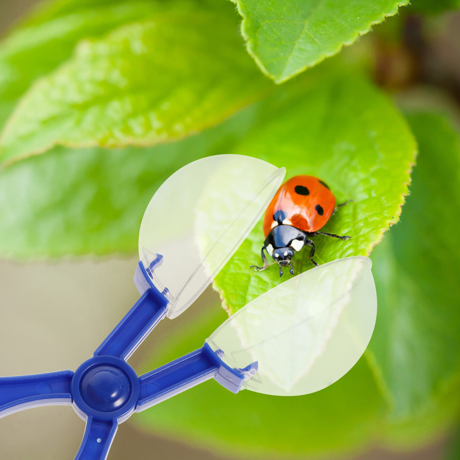8Pcs Insect Catcher Scissors K - Kids Outdoor Education ulasan dan harga