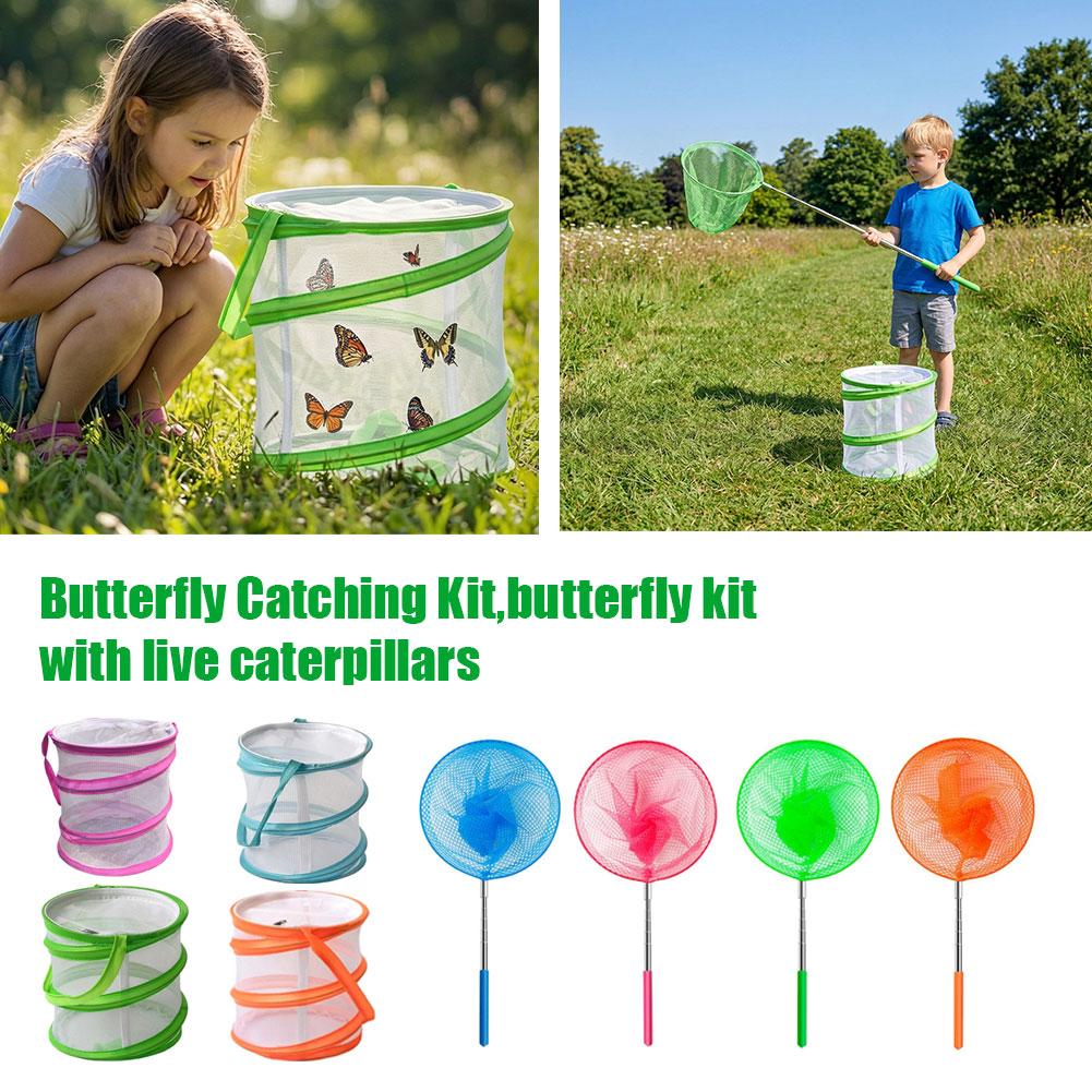 Kids Butterfly Catching Kit Fo - Kids Outdoor Education ulasan dan harga